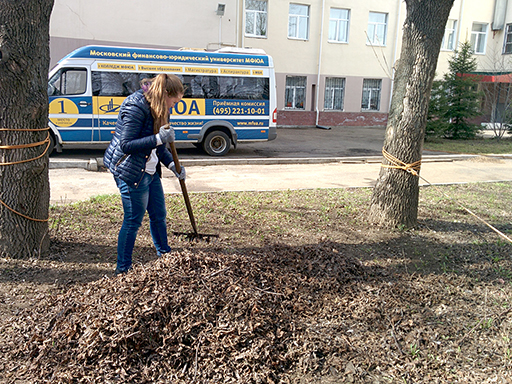 Увеличить. Субботник в ЯФ МФЮА